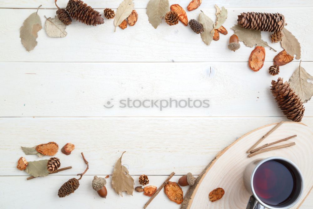 Similar – Image, Stock Photo Domestic Still Life with Cat and Pumpkins at the Window