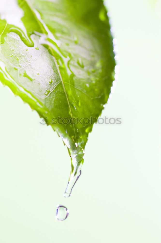 Similar – Image, Stock Photo Flowing Yellow Bathroom