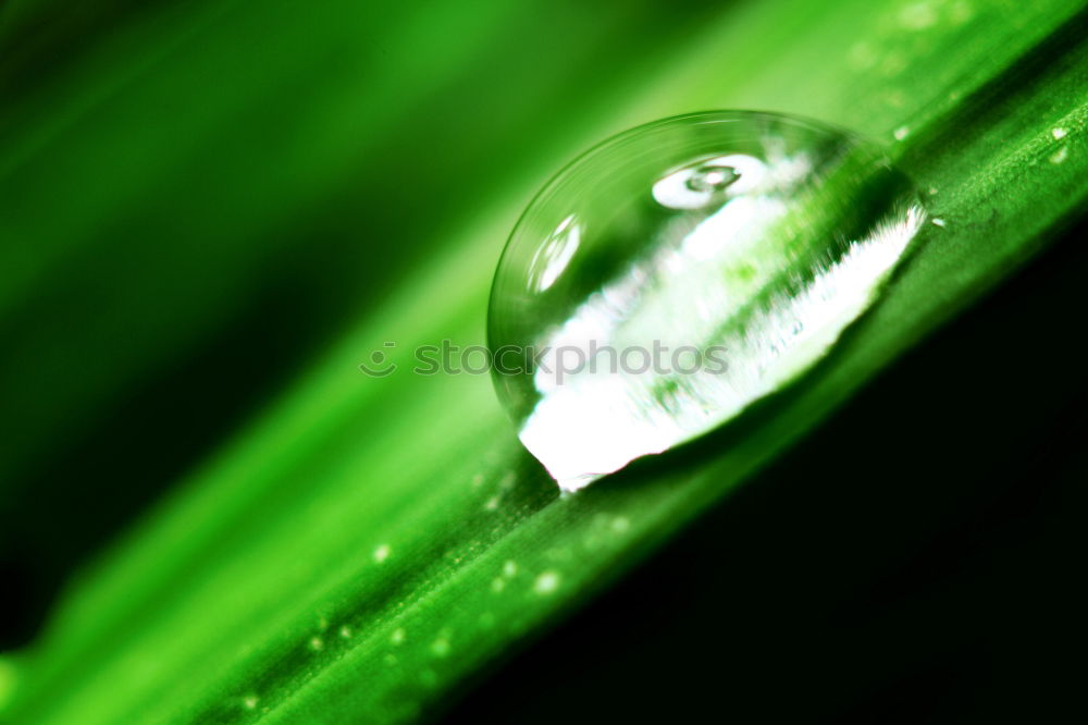 Similar – Image, Stock Photo leak Bathroom