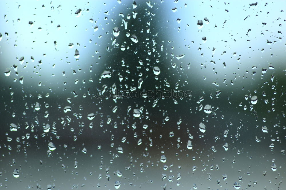 Similar – Image, Stock Photo wet self-portrait