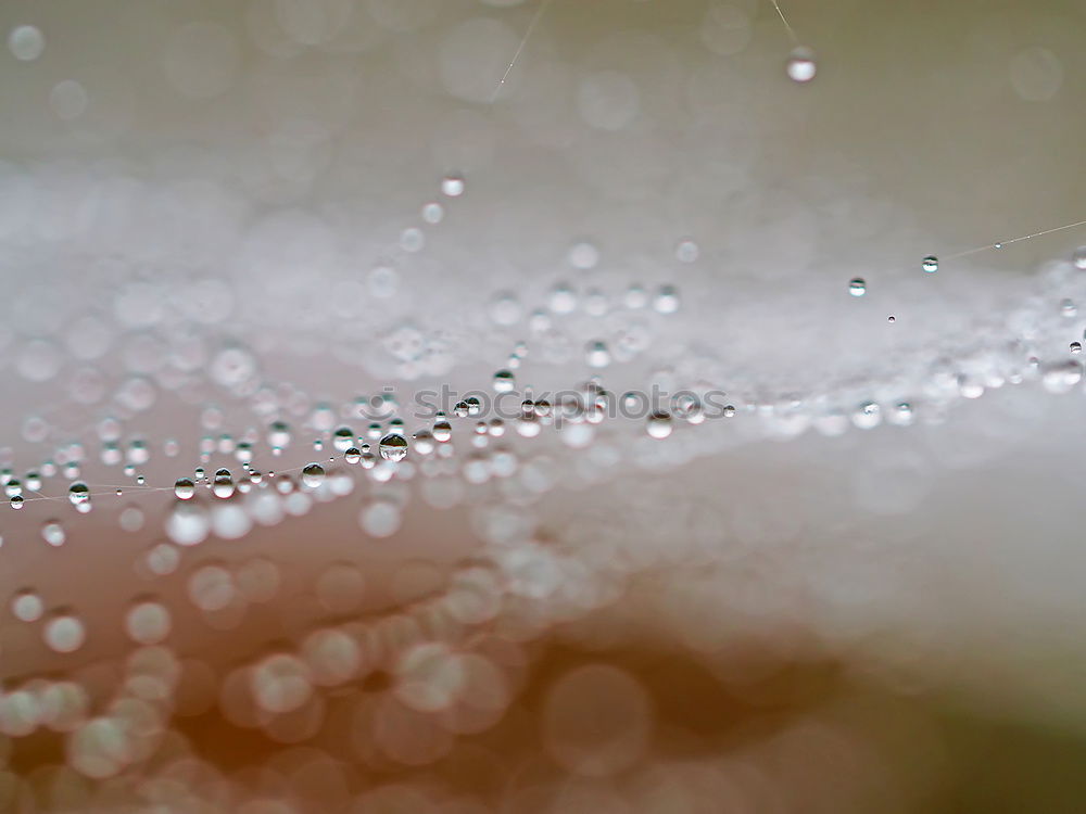 Similar – Image, Stock Photo parapet Balcony Reflection