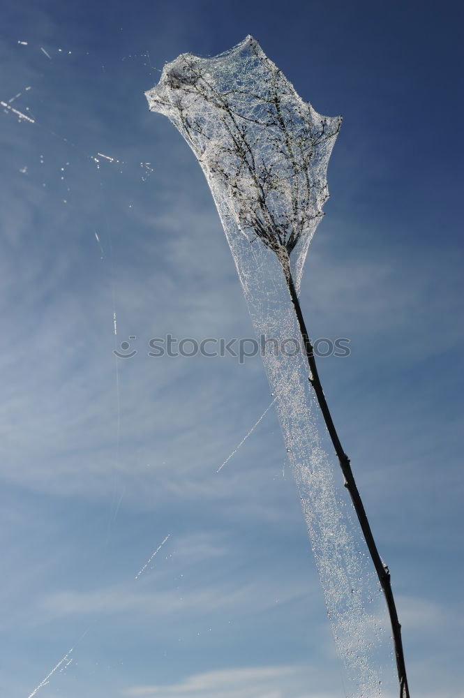 Similar – Image, Stock Photo Catch the moon