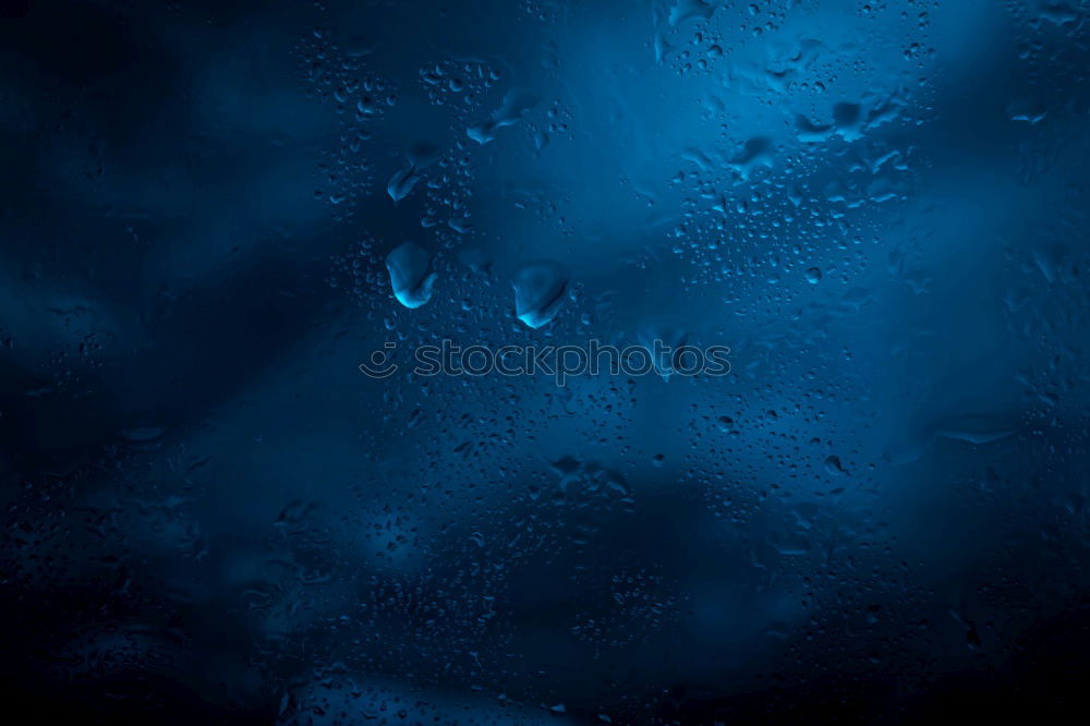 Similar – rain drops Environment