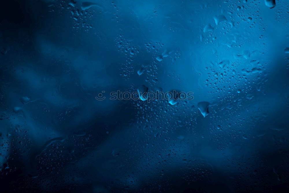 Similar – rain drops Environment