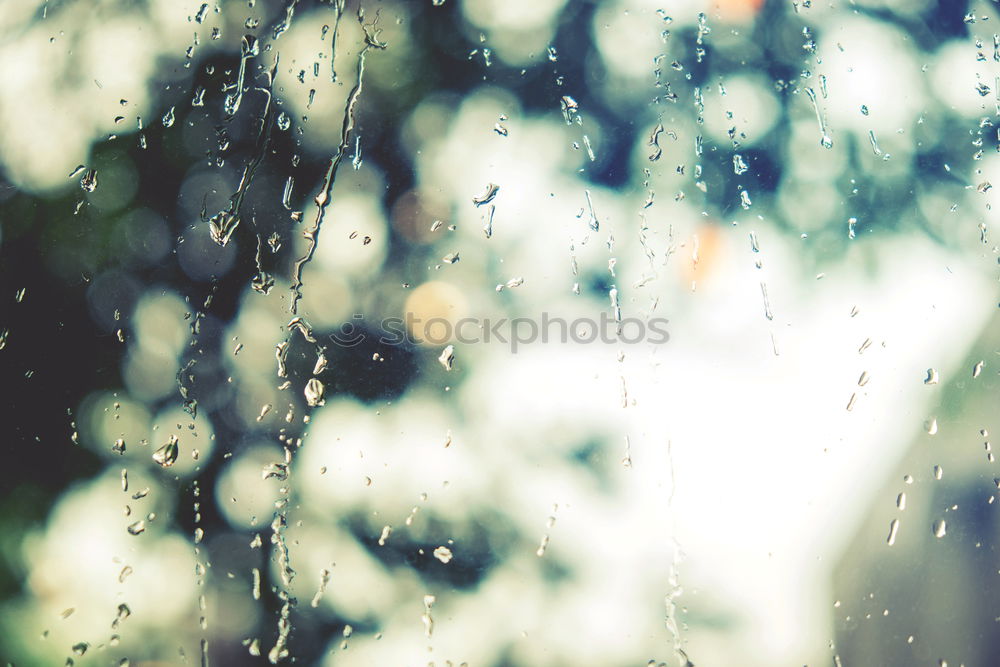 Similar – Image, Stock Photo Beautiful view II Summer