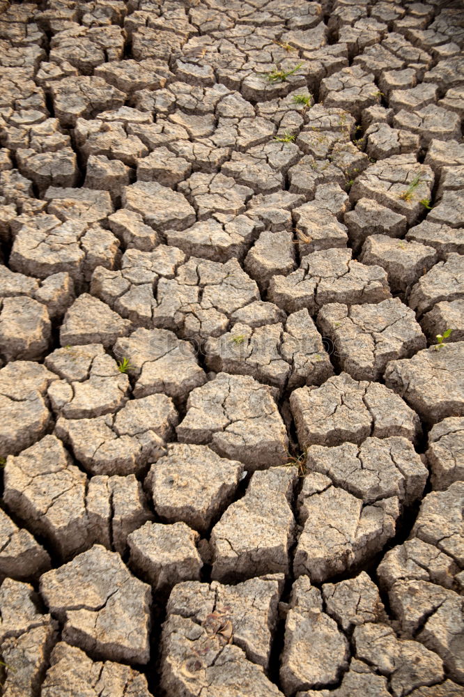 Similar – Dry And Dirty Drought