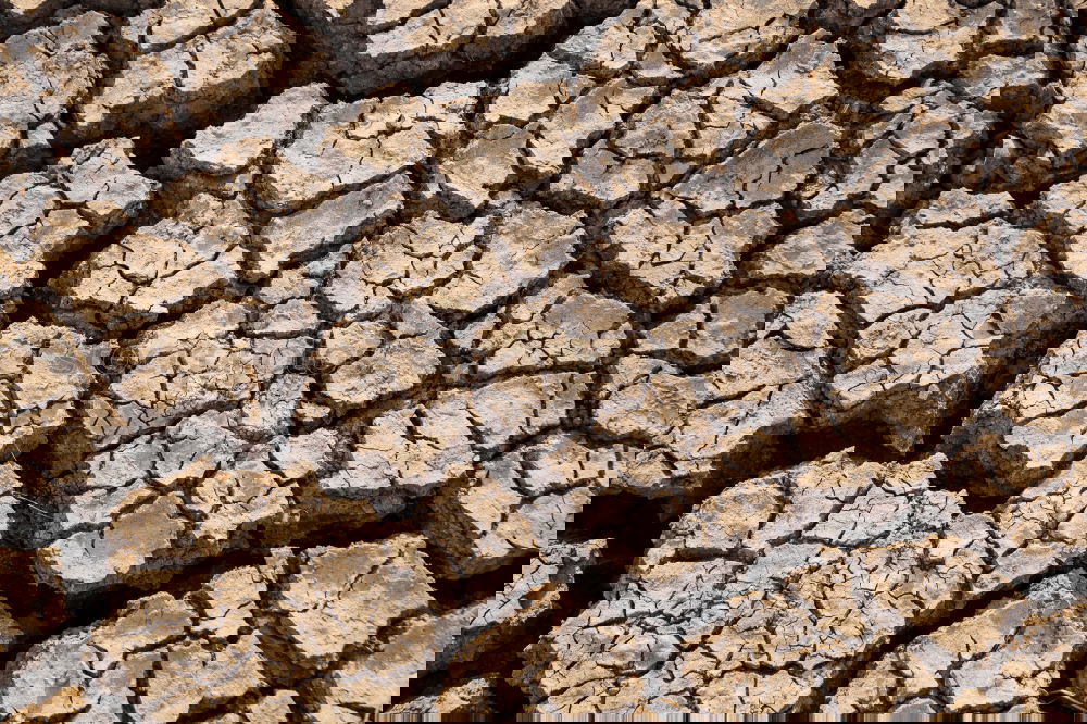 Similar – Image, Stock Photo Cracked soil Summer