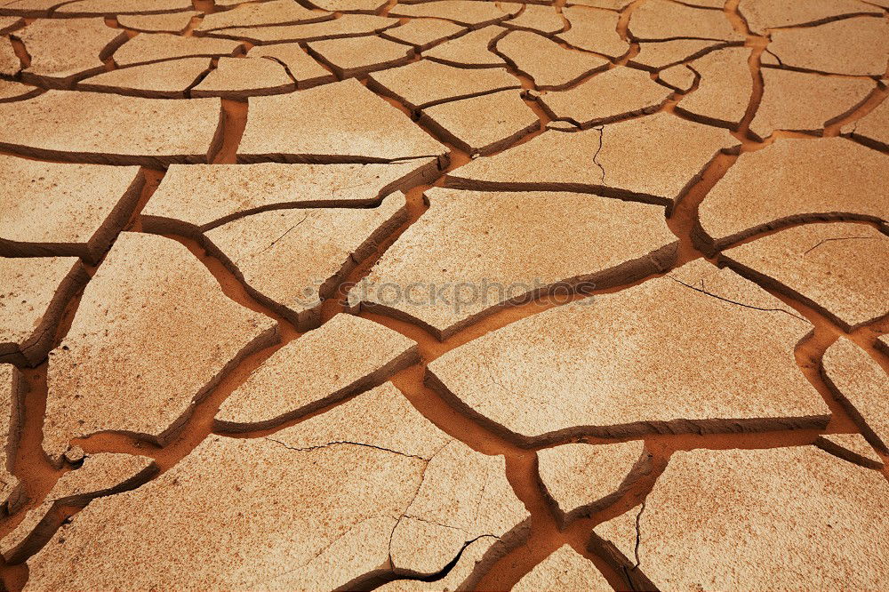 Similar – Dried earth Mud Drought