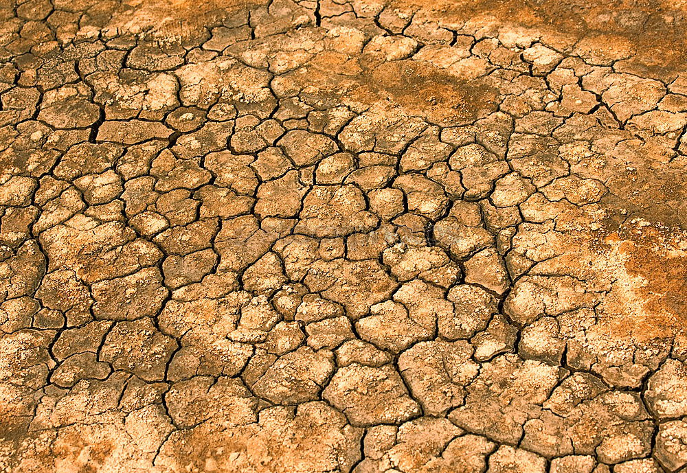 Similar – Image, Stock Photo Dry yellow soil in the desert