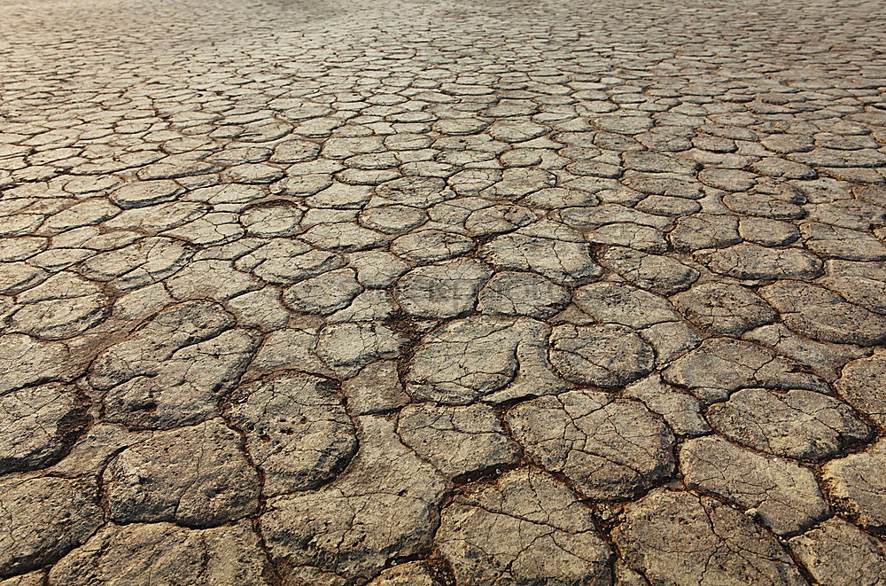 Similar – Dry And Dirty Drought