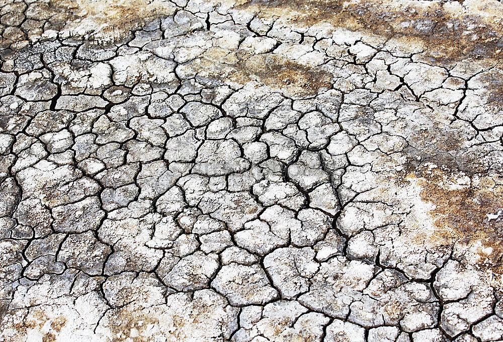 Similar – Image, Stock Photo Mini Grand Canyon Dry