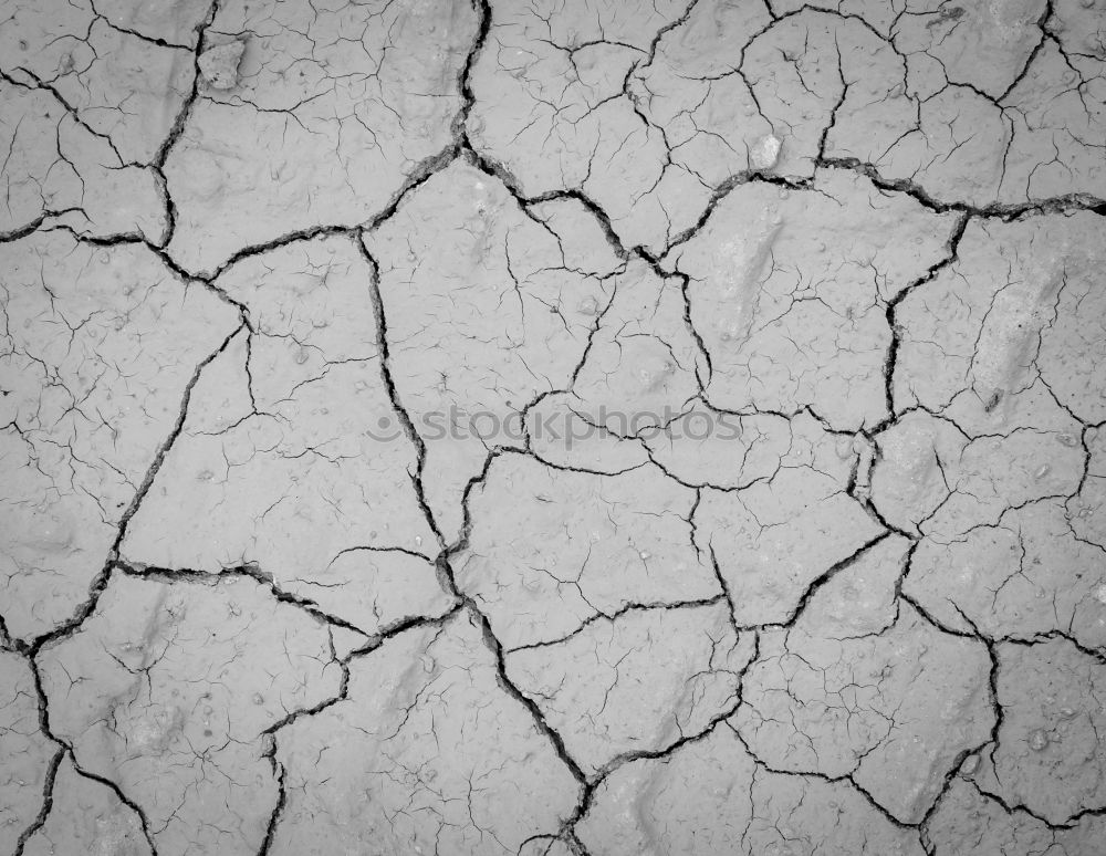 Similar – dry earth Dry Pattern Hot