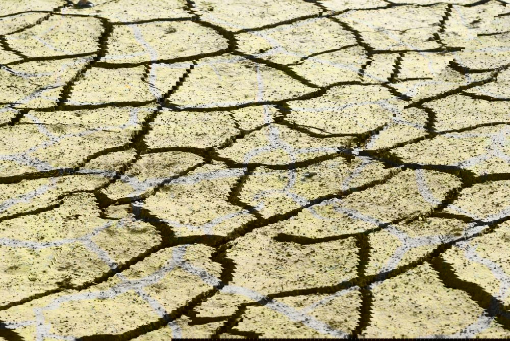 Similar – Image, Stock Photo Cracked soil Summer