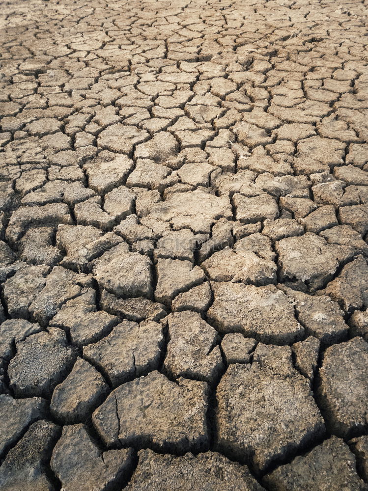 Similar – Dry And Dirty Drought