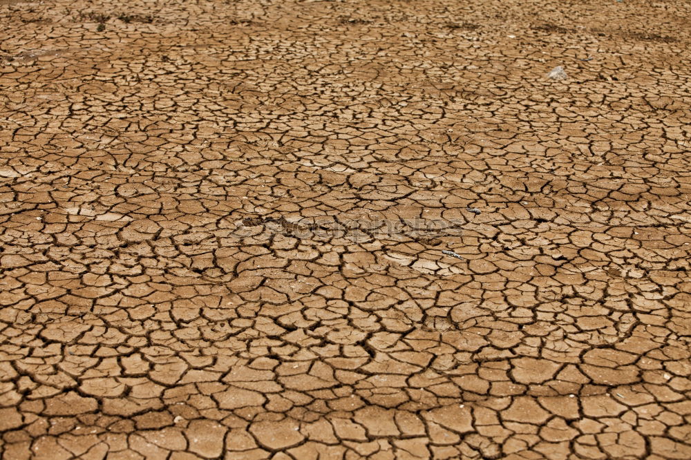 Similar – Dried earth Mud Drought