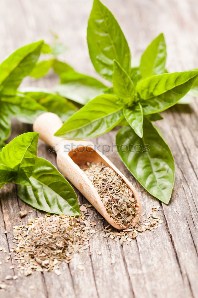 Image, Stock Photo Licorice Mint Tea Beverage