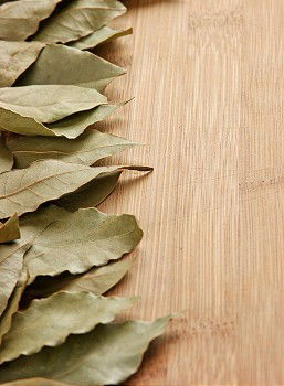 Similar – Image, Stock Photo Sage leaves and old paper sheet