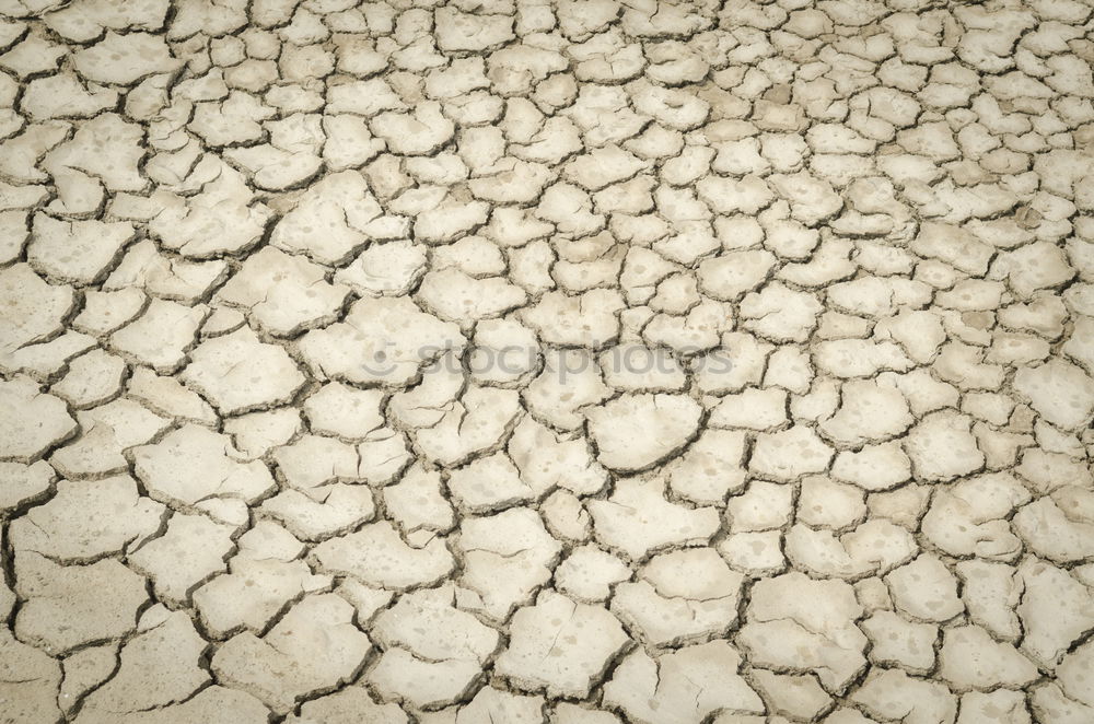 Similar – Image, Stock Photo Dried and cracked earth
