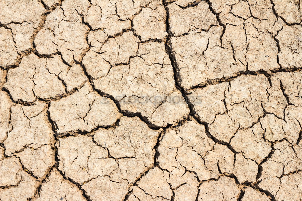 Similar – parched Dry Drought Loam