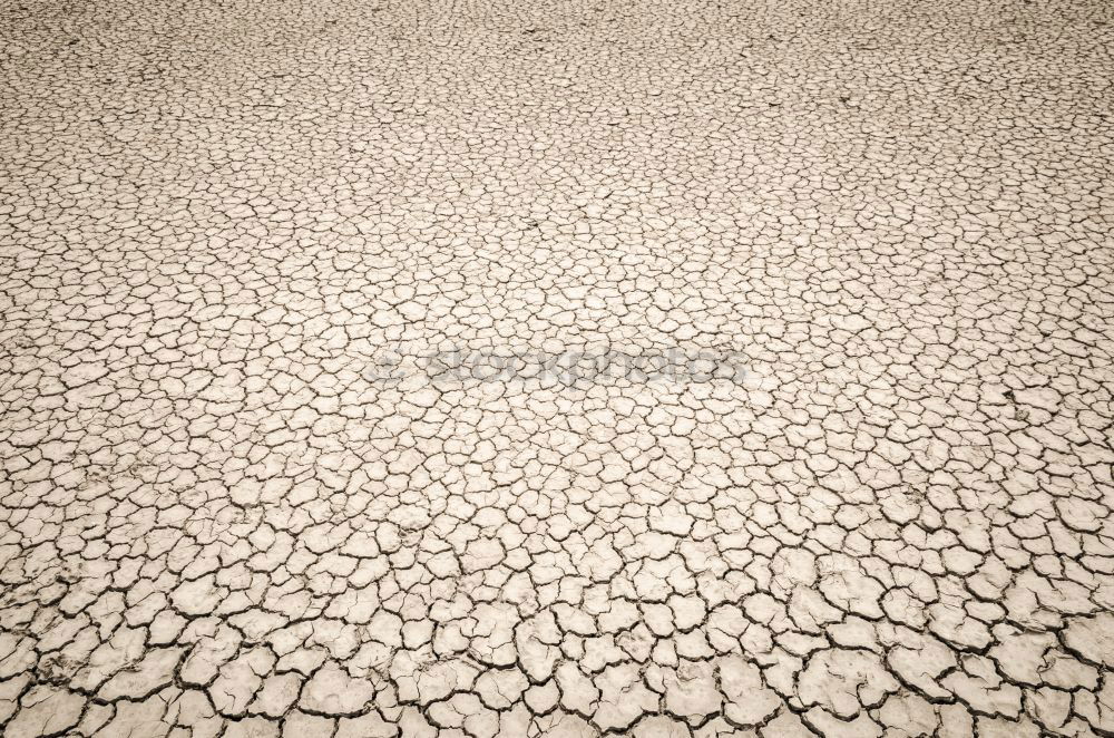 Death Valley Dry Drought