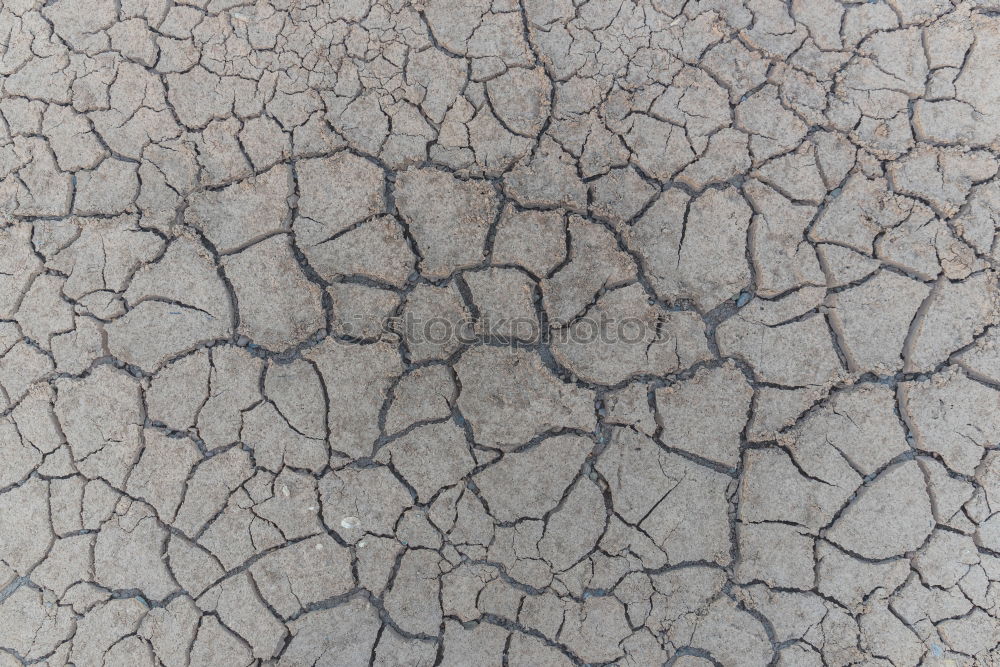 Similar – Death Valley Dry Drought