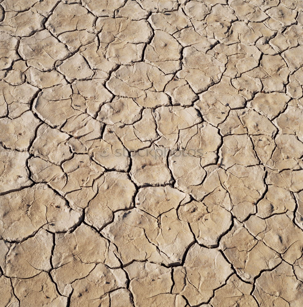 Similar – Dried earth Mud Drought