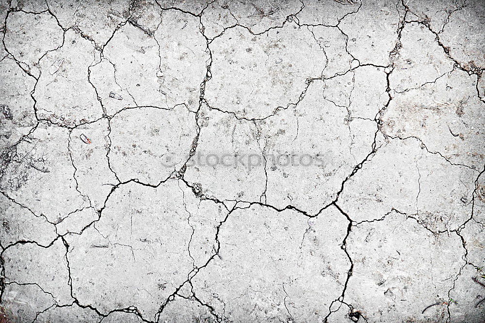 Similar – Image, Stock Photo Dried and cracked earth