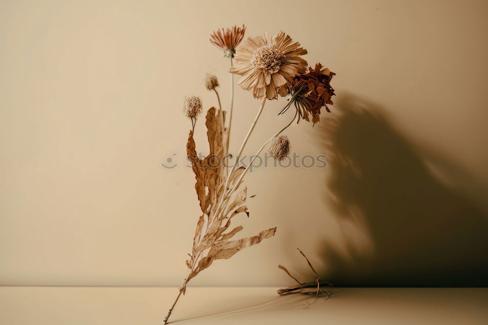 Similar – Image, Stock Photo a colourful summer bouquet