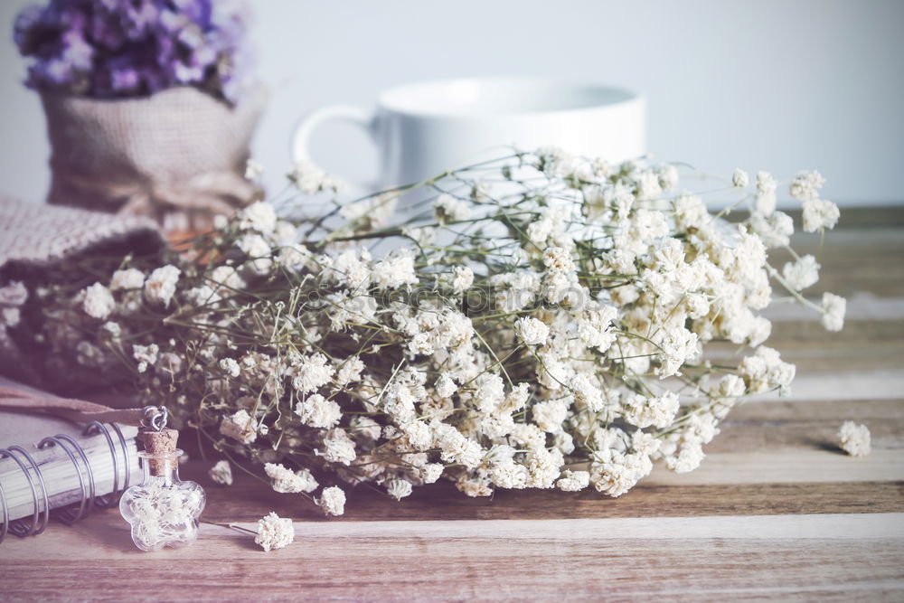 Similar – Crop hands holding flowers near honey and tea