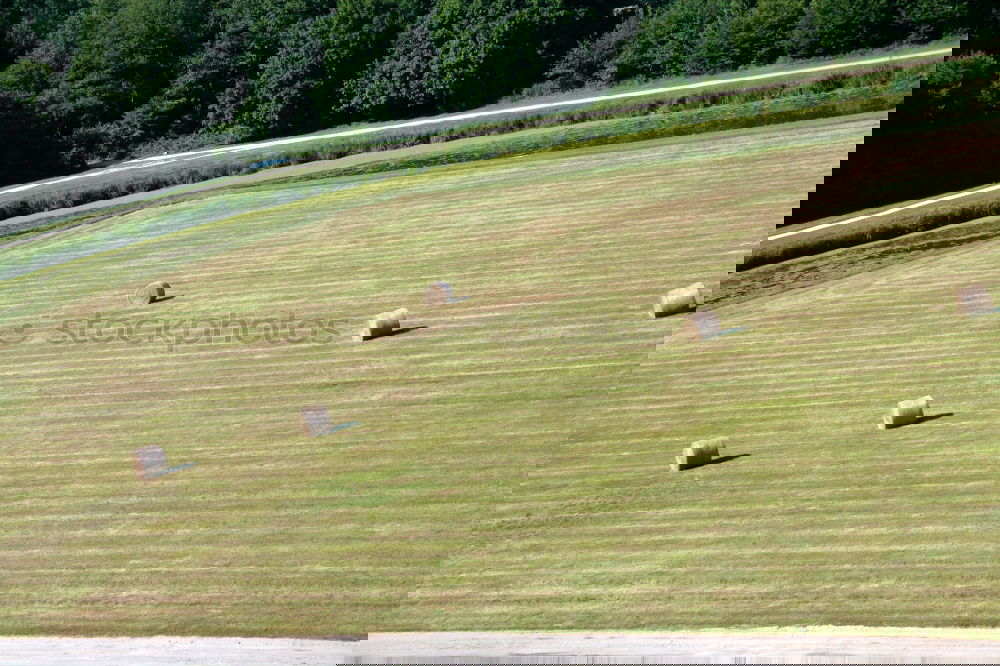 Foto Bild Menschen im Park schön