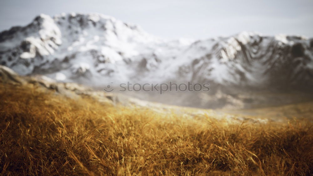 Similar – Foto Bild Dachstein Sommer