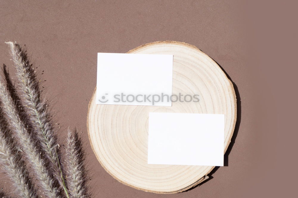 Similar – Gift with fir twig and blank white paper