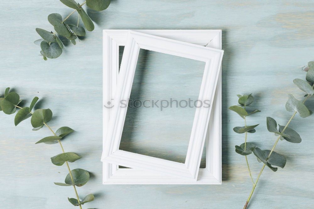 Similar – Image, Stock Photo AST 9 | Front garden: blades of grass in front of a mysterious half-open window