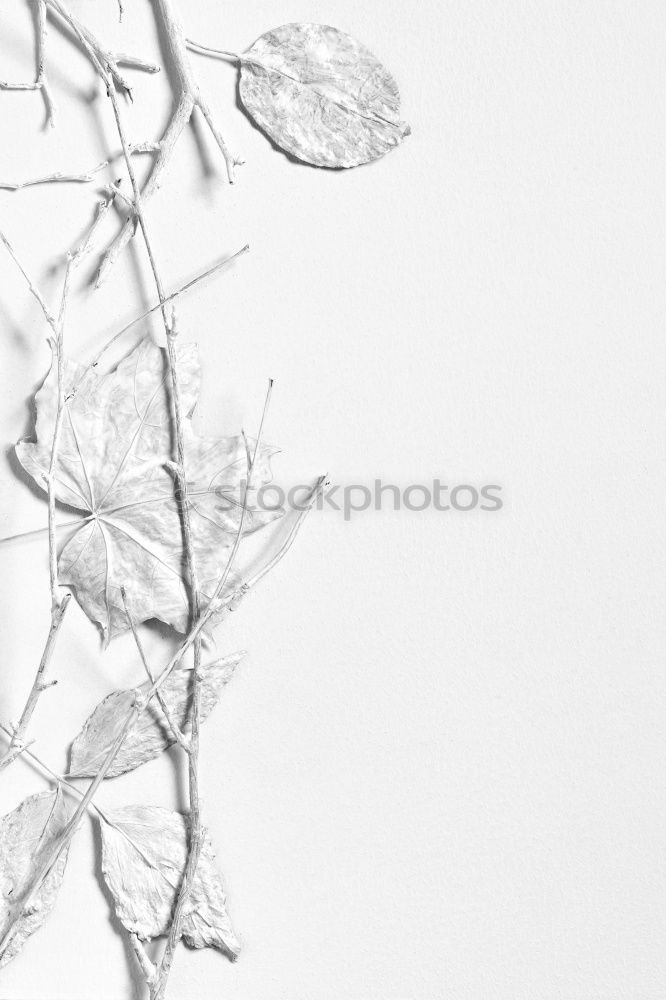Similar – Image, Stock Photo construction site