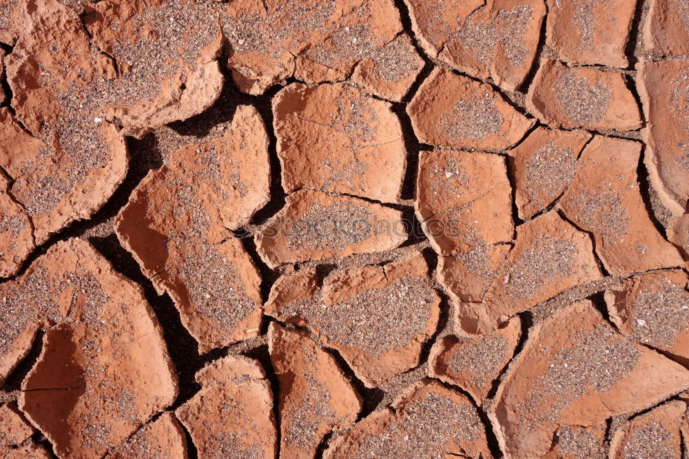 Similar – Foto Bild trocken braun heiß Verlauf