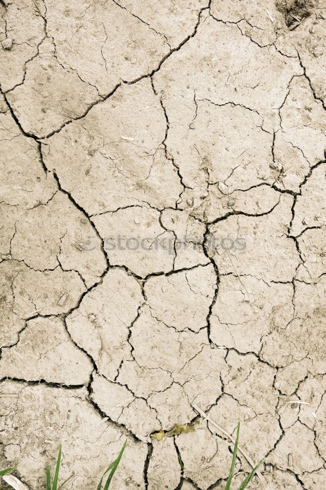 Similar – aridity Dry Drought