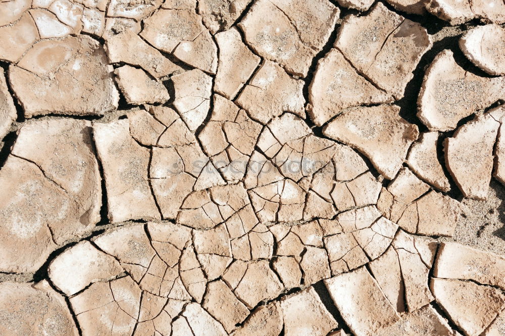 Similar – aridity Dry Drought