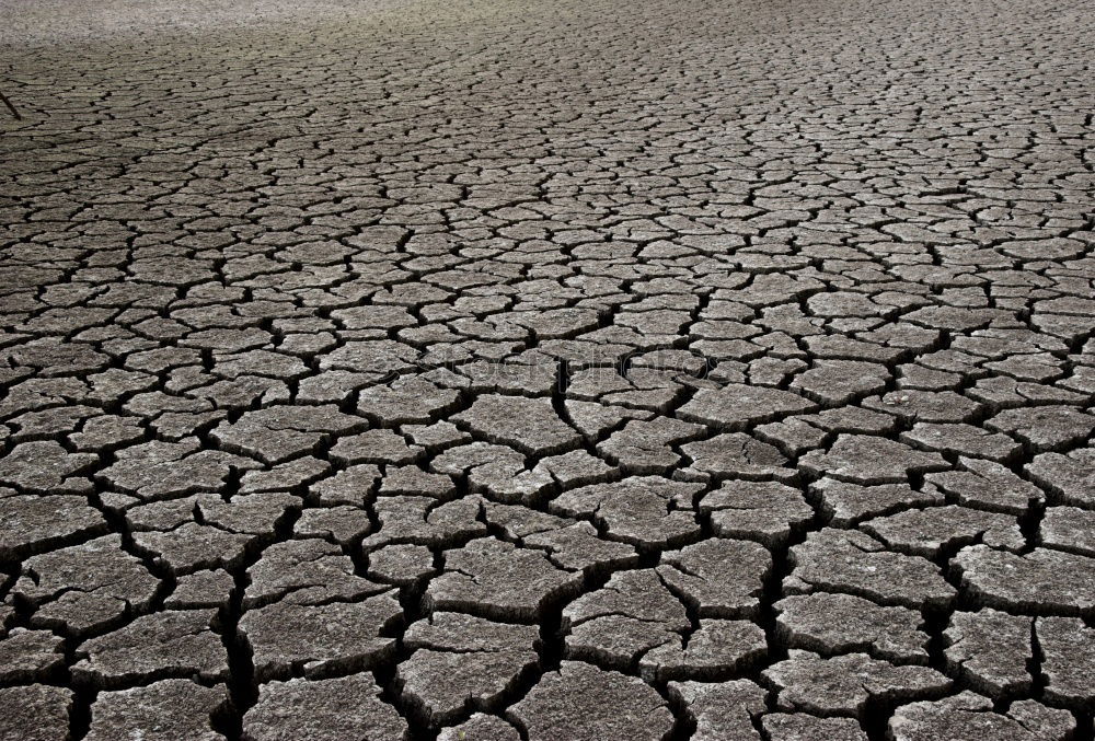 Dry And Dirty Drought