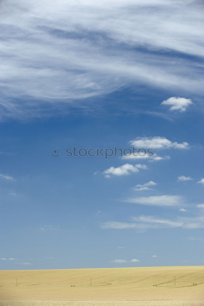 Similar – Image, Stock Photo free flight