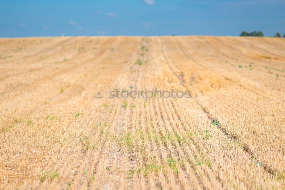 Similar – Foto Bild im märzen der bauer