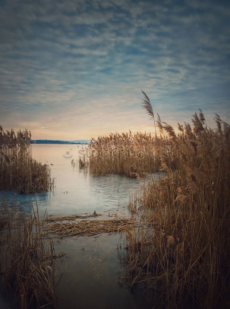 Similar – Image, Stock Photo city lake