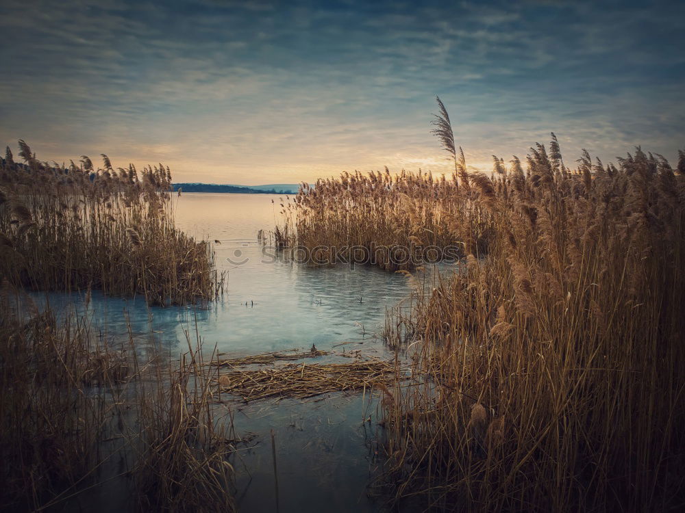 Image, Stock Photo Quiet and cold Environment