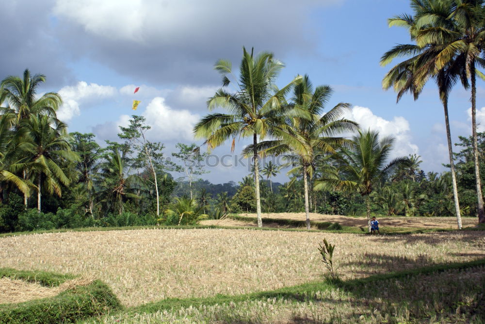 Similar – Bali Island Indonesia Asia