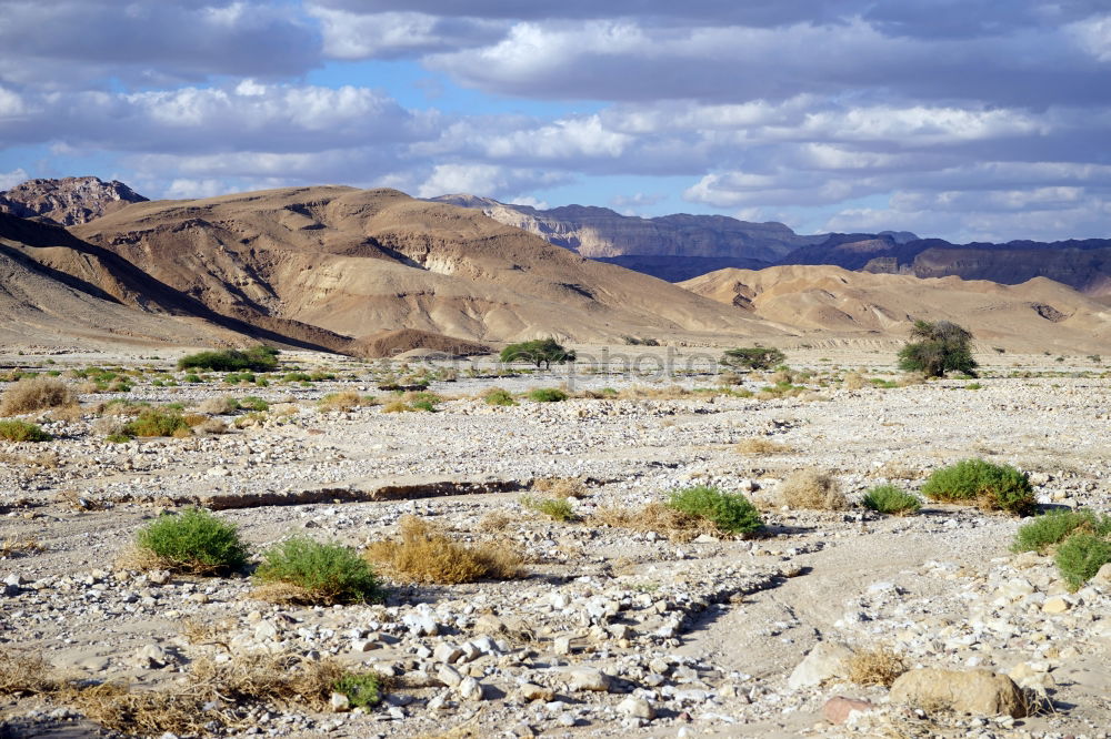 Similar – Image, Stock Photo Oasis Nature Landscape