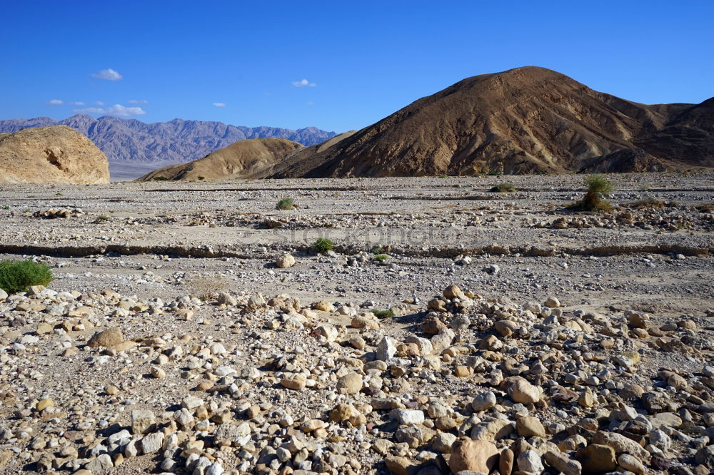 Similar – Foto Bild Stück Himalaja in Ladakh II