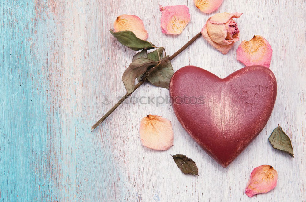 Similar – Image, Stock Photo Heart of pink rose petals on turquoise blue background