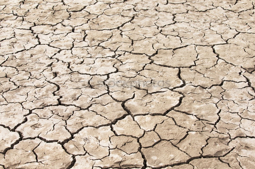 Similar – parched Dry Drought Loam