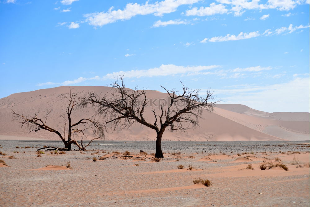 Similar – Image, Stock Photo Sandstorm in Sossusvlei #3