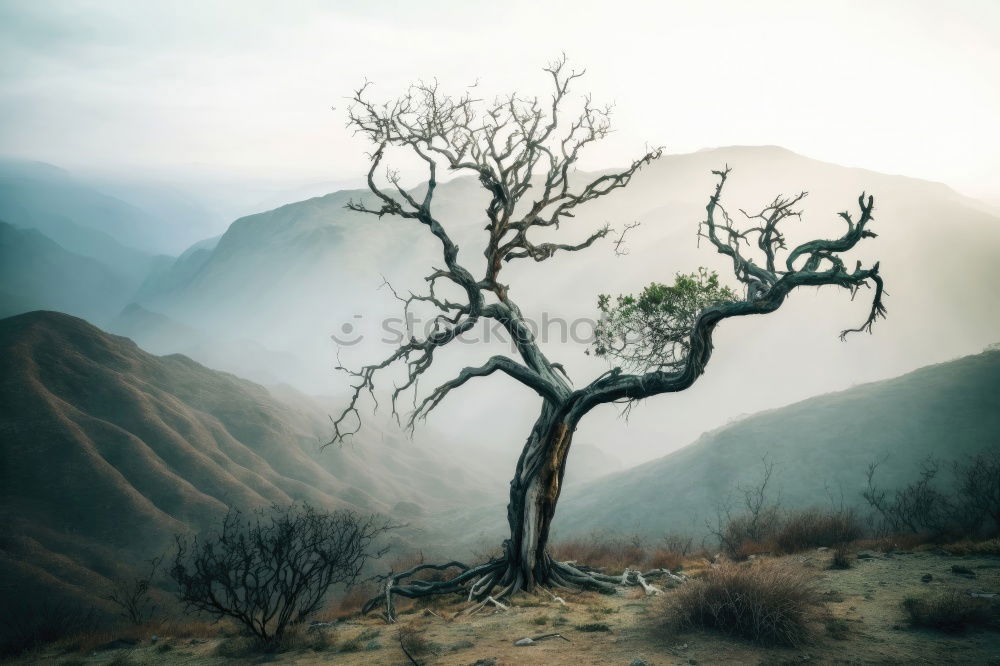 Similar – Image, Stock Photo tundra Senses Meditation