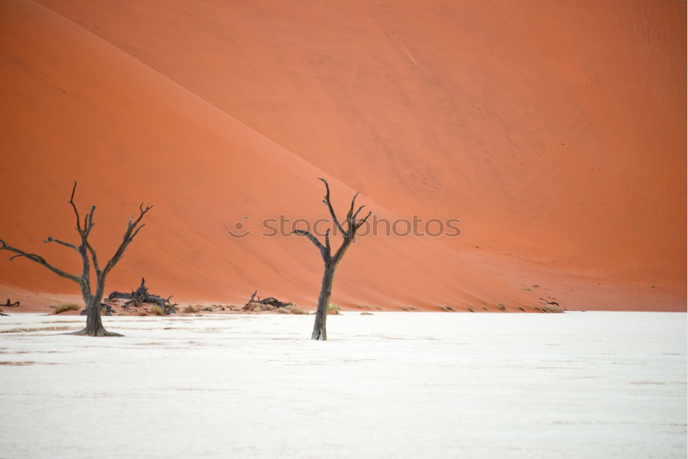 Similar – Deadvlei (Namibia)